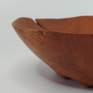 Mísa Třešeň - Obrázek 8