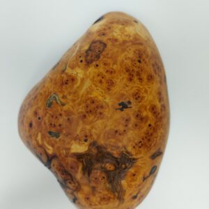 Mísa Bříza II. očkovitost - Obrázek 7