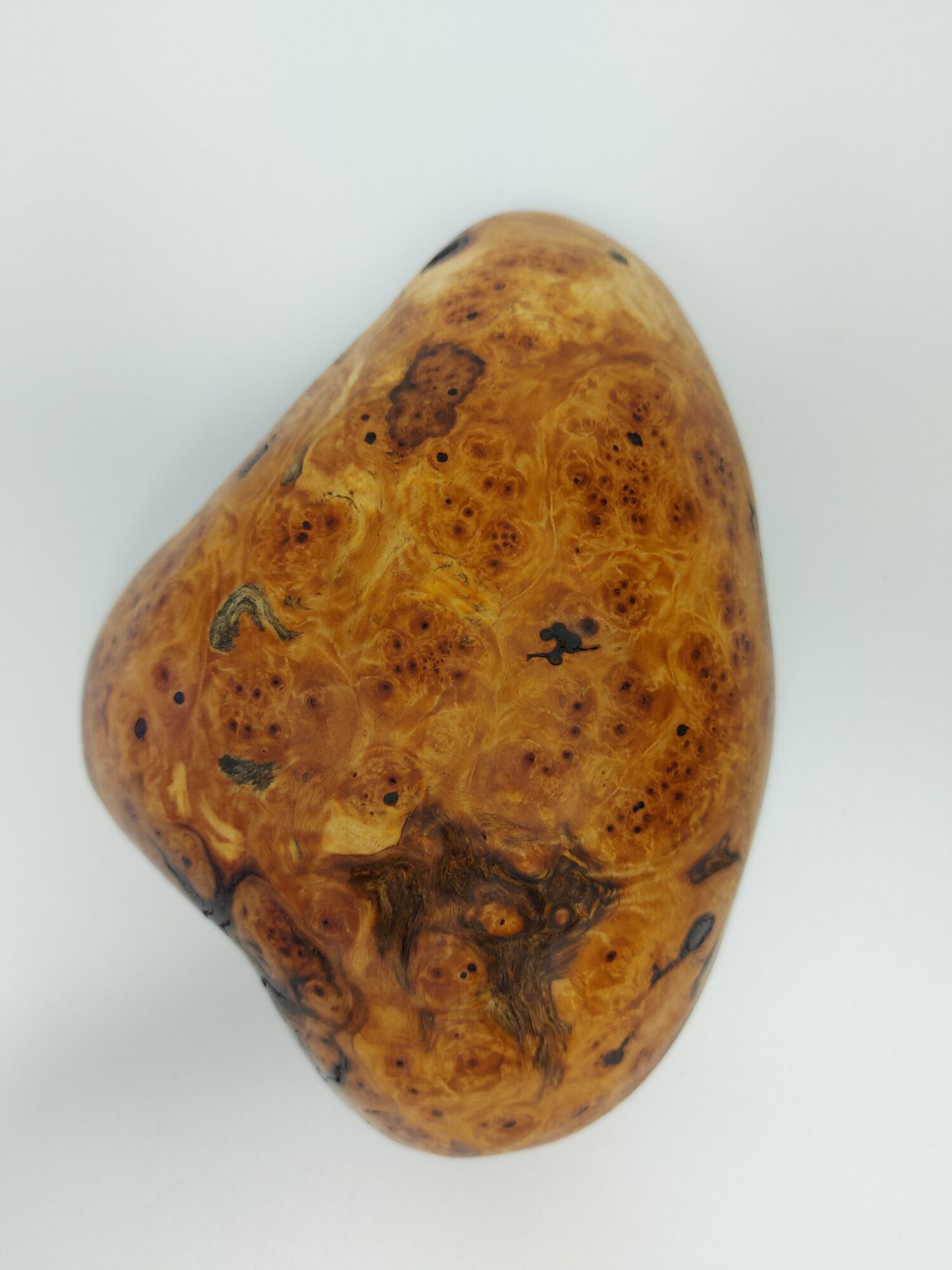 Mísa Bříza II. očkovitost - Obrázek 8