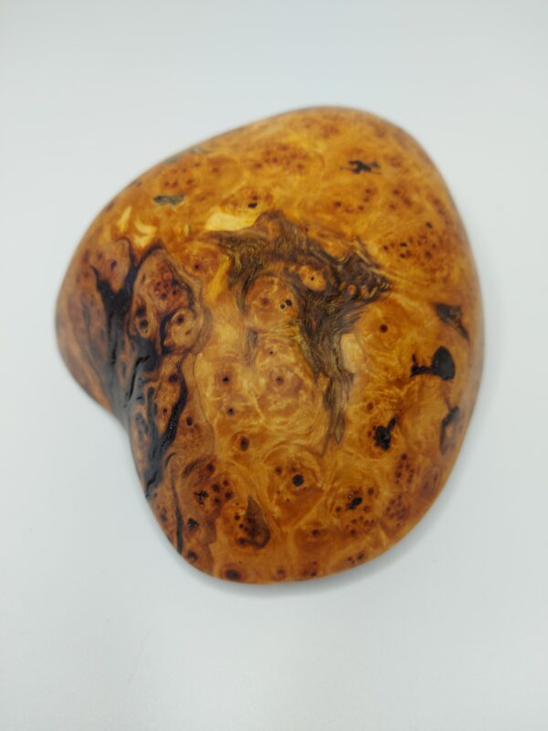 Mísa Bříza II. očkovitost