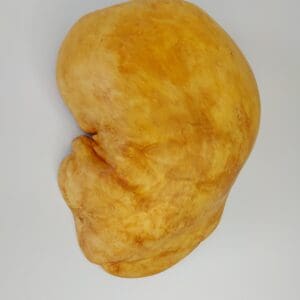 Mísa Olše - Obrázek 7