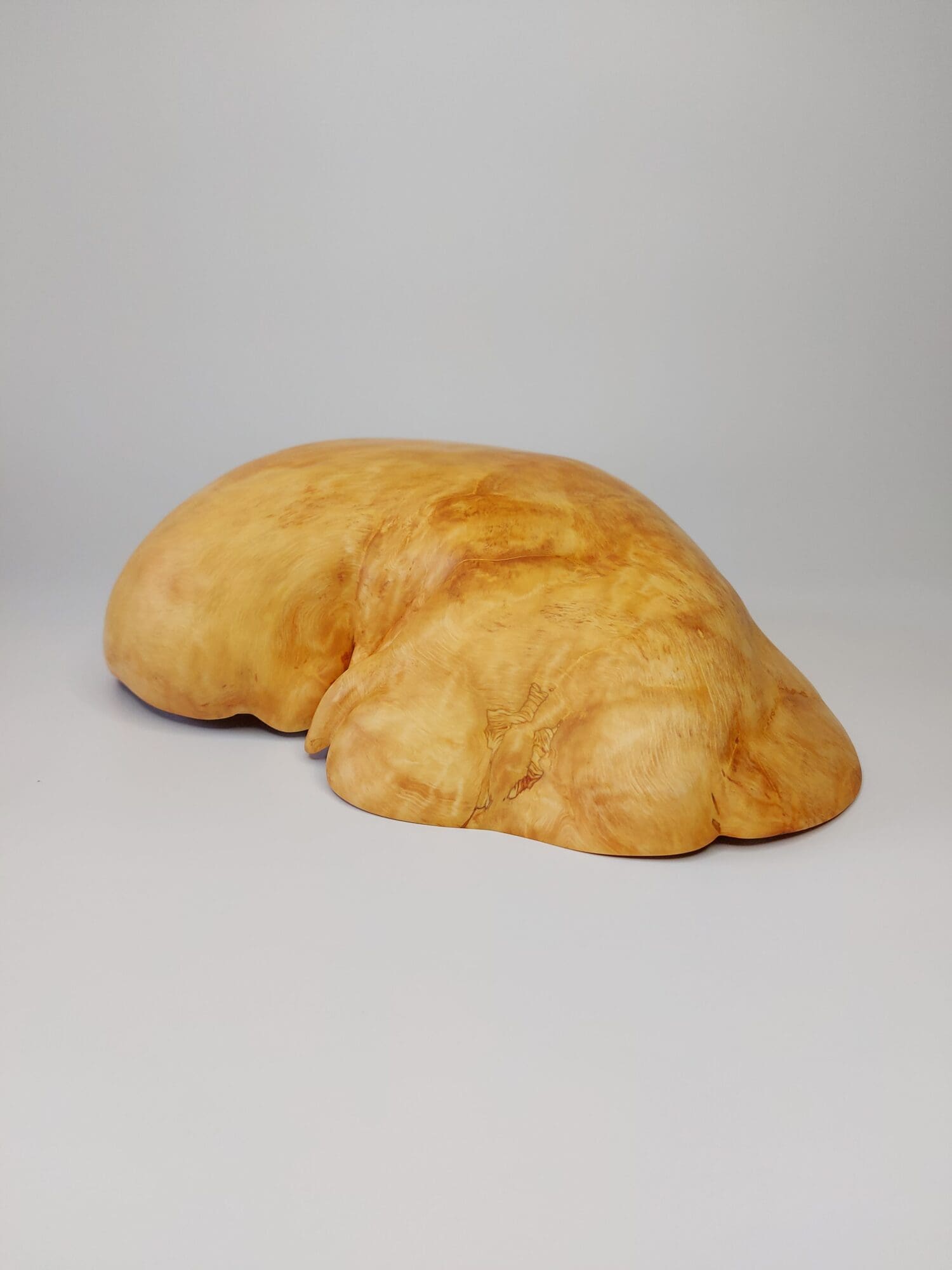 Mísa Olše - Obrázek 8