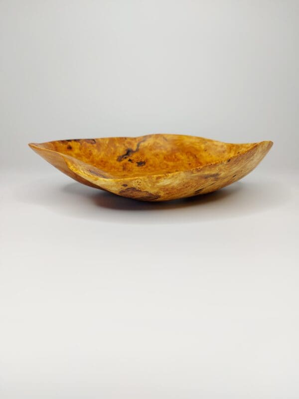 Mísa Bříza I. očkovitost