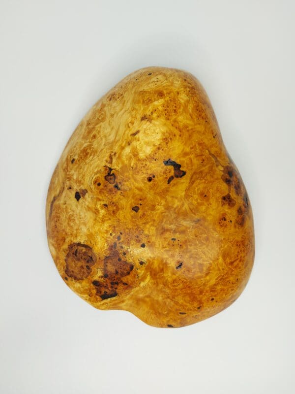 Mísa Bříza I. očkovitost