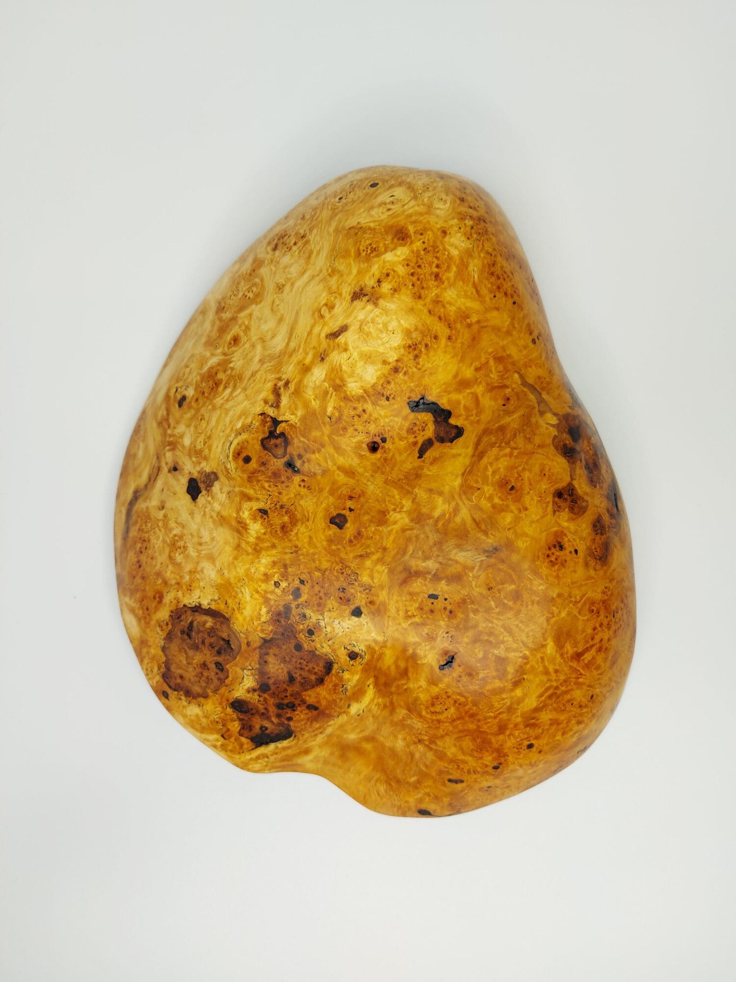 Mísa Bříza I. očkovitost - Obrázek 7