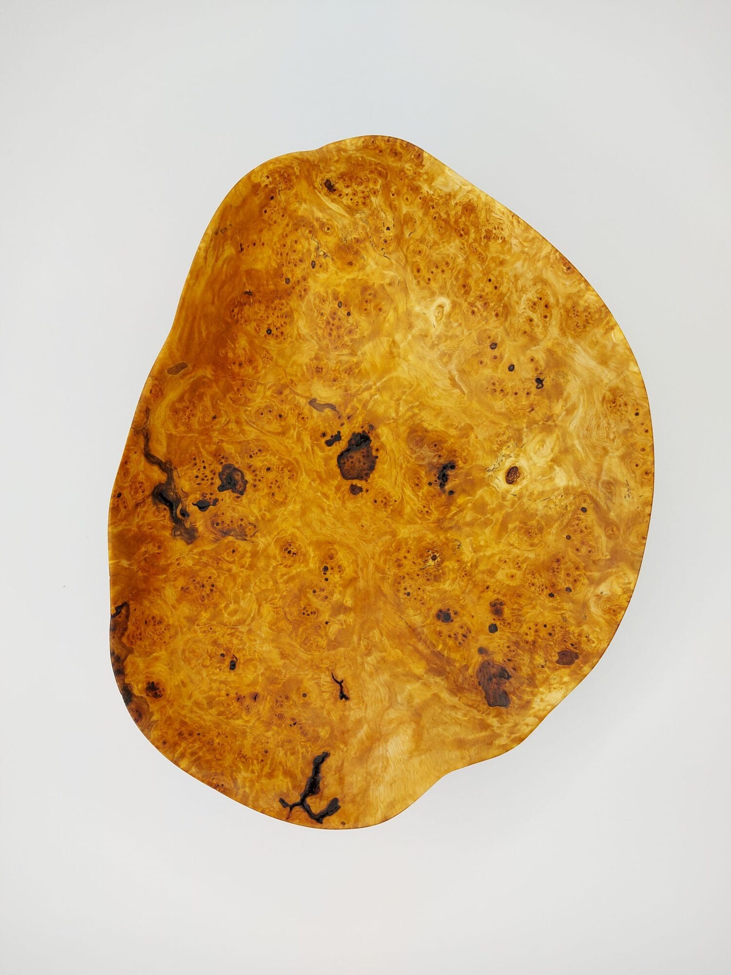 Mísa Bříza I. očkovitost - Obrázek 6