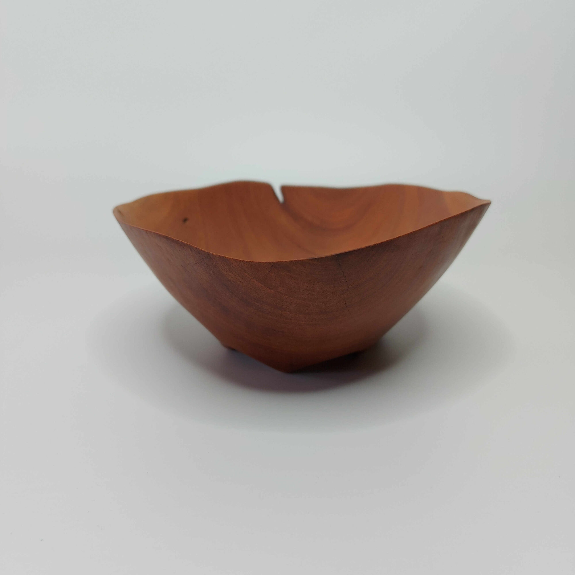 Mísa Třešeň - Obrázek 3