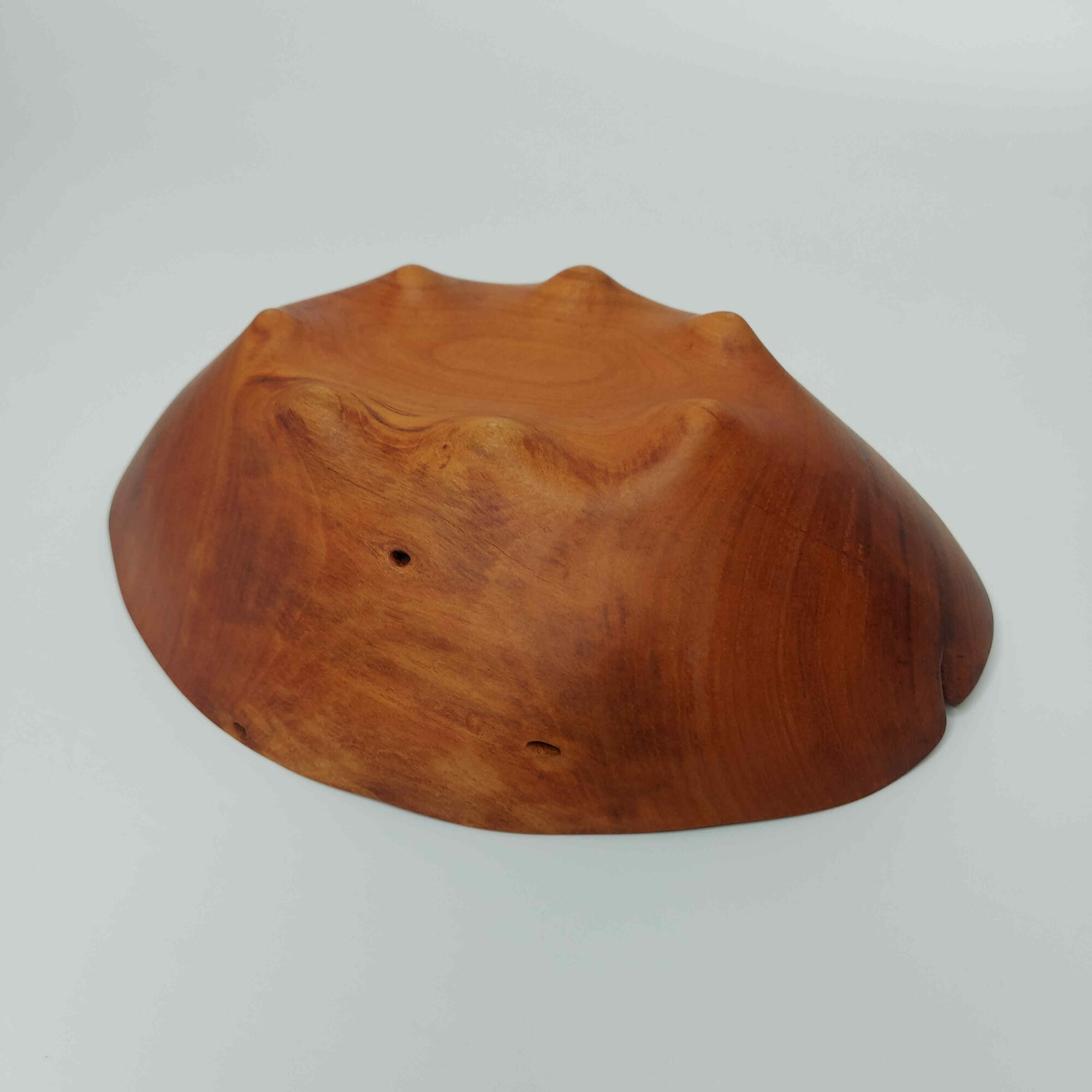 Mísa Třešeň - Obrázek 6